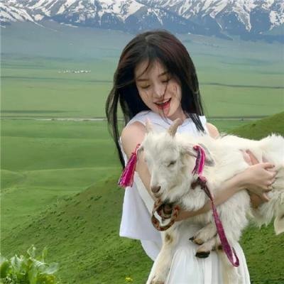 莱芬斯坦:影像的背叛 高清在线观看封面